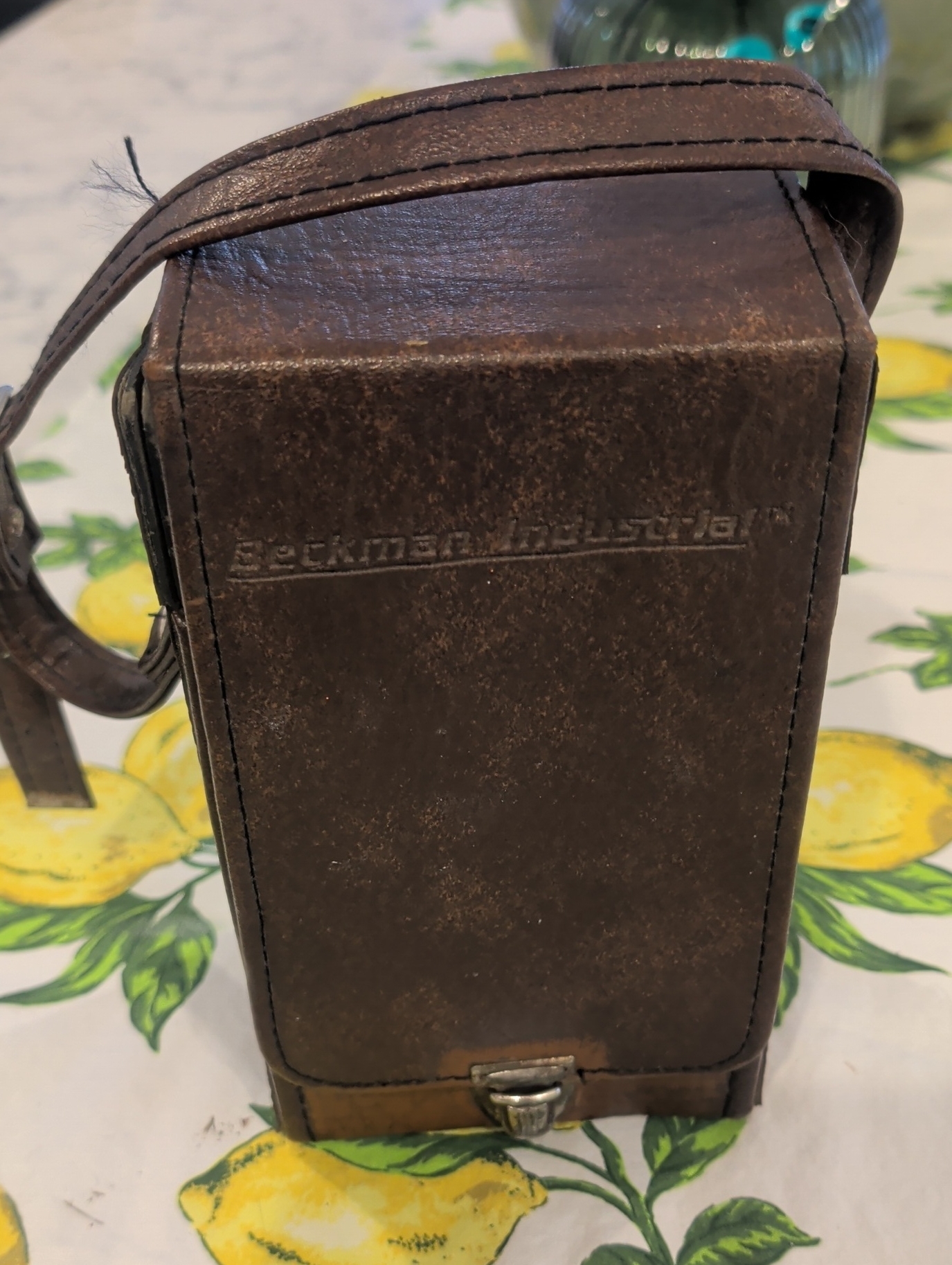 Vintage Brown Leather Camera Case